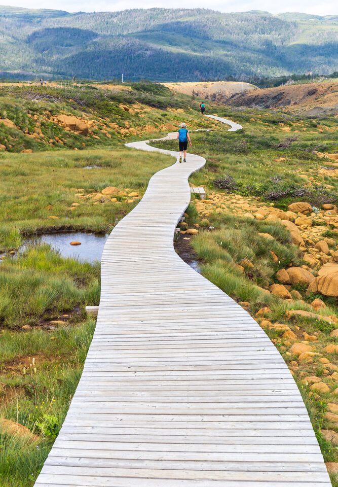 Hero Image for destination Newfoundland