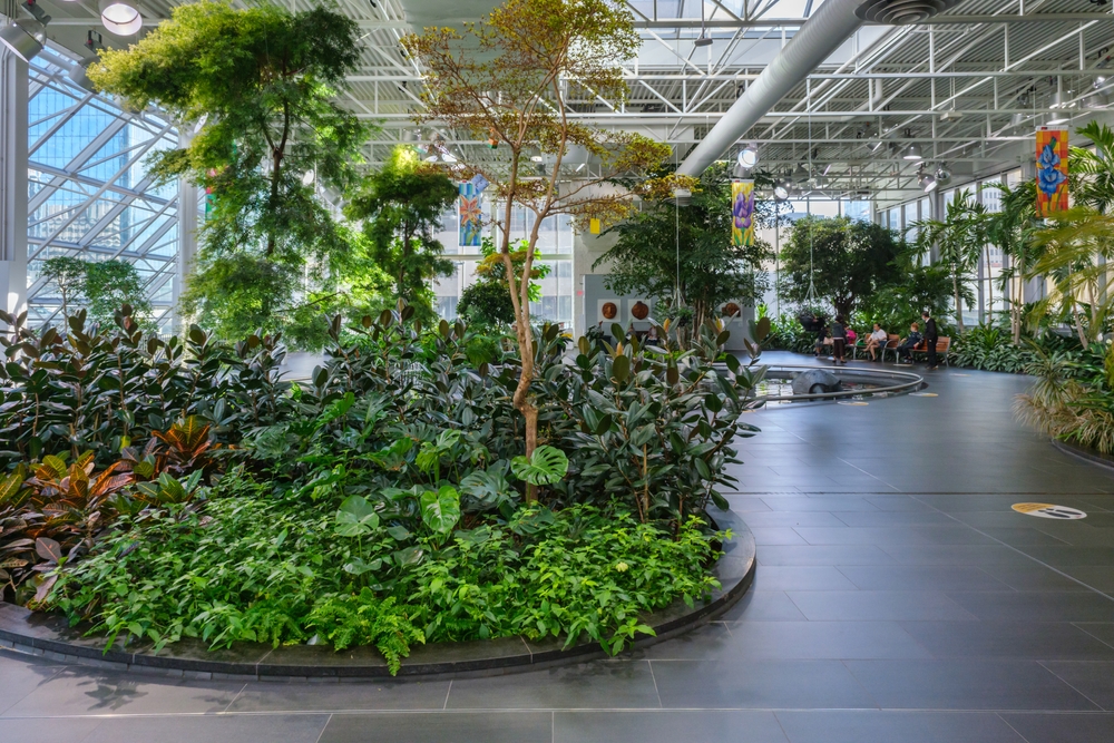 Devonian Garden on of the top 5 fun things to do in Calgary any day