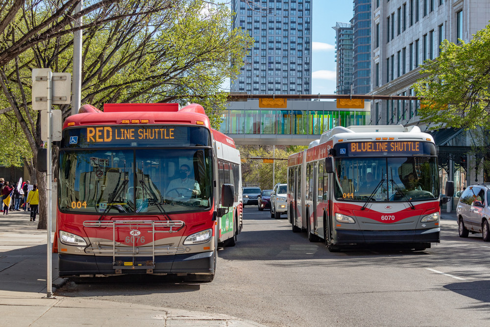 Calgary Public Transport Buses