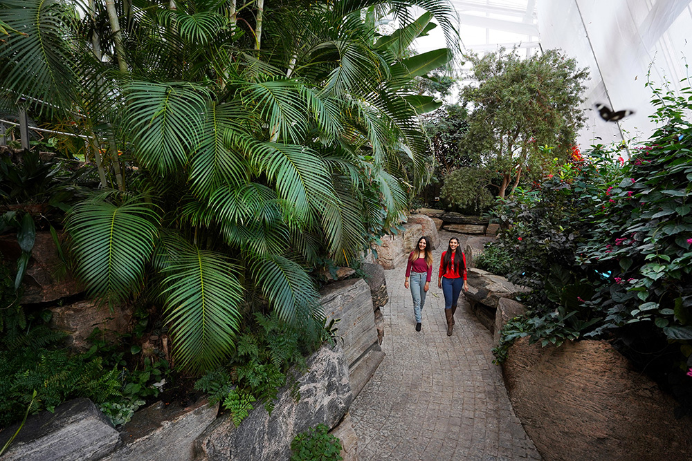 Best Photo spots near Niagara Falls -Butterfly Conservatory
