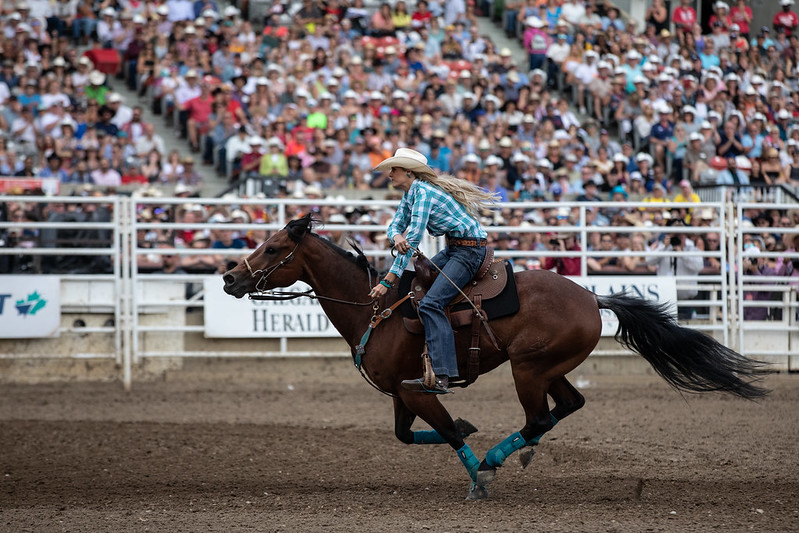 Guide to the Calgary Stampede