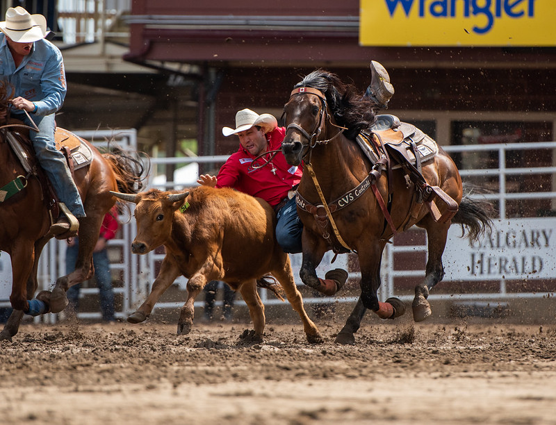 Guide to the Calgary Stampede