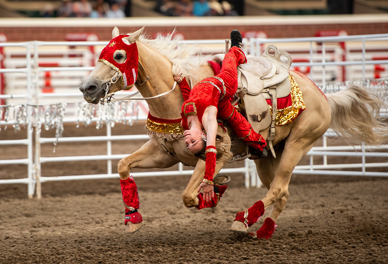 Guide to the Calgary Stampede