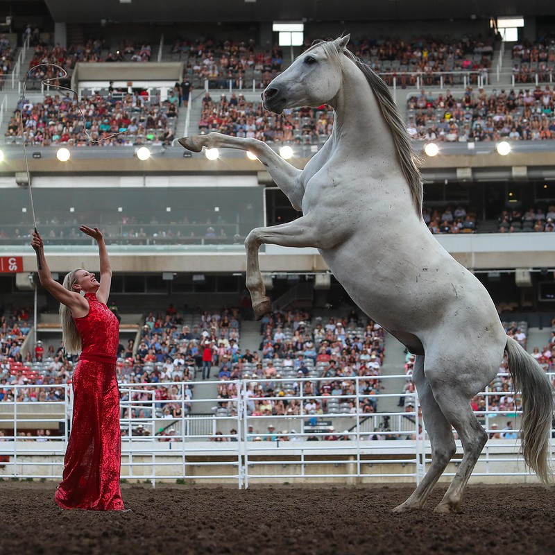 Calgary Stampede