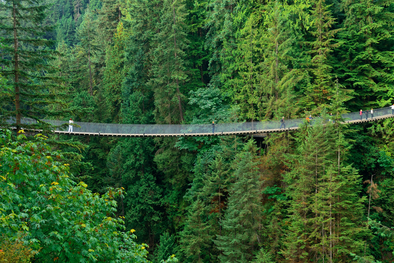 Best Photography spots in Vancouver-Capilano Suspension Bridge