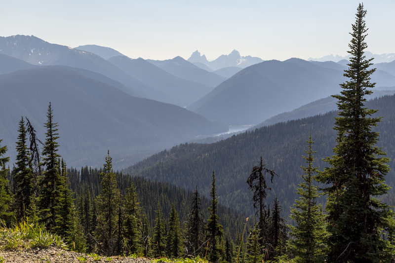 Scenic view of the dense boreal forest of EC Manning Provincial Park in British Columbia one of the top 5 locations for camping in BC
