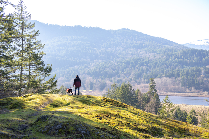 Guide to Exploring Vancouver Island in Summer