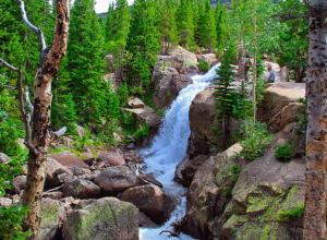 one of the Top 5 summer camping locations Alberta