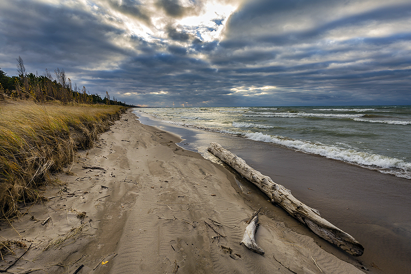 A beach at Pinery Provincial Park a top camping location in Ontario