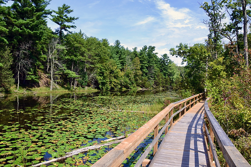 Walkway through Pinery Park