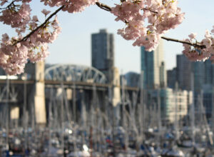 Best Cities in Canada to Visit during Spring