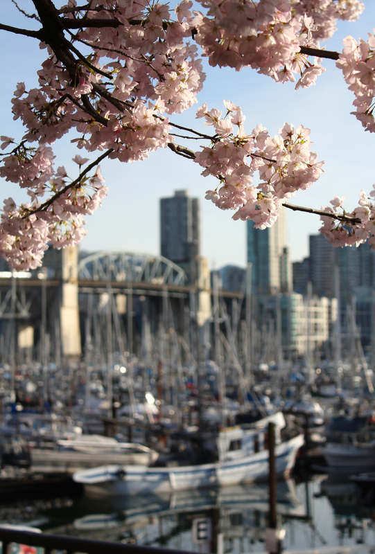 Best Cities in Canada to Visit during Spring