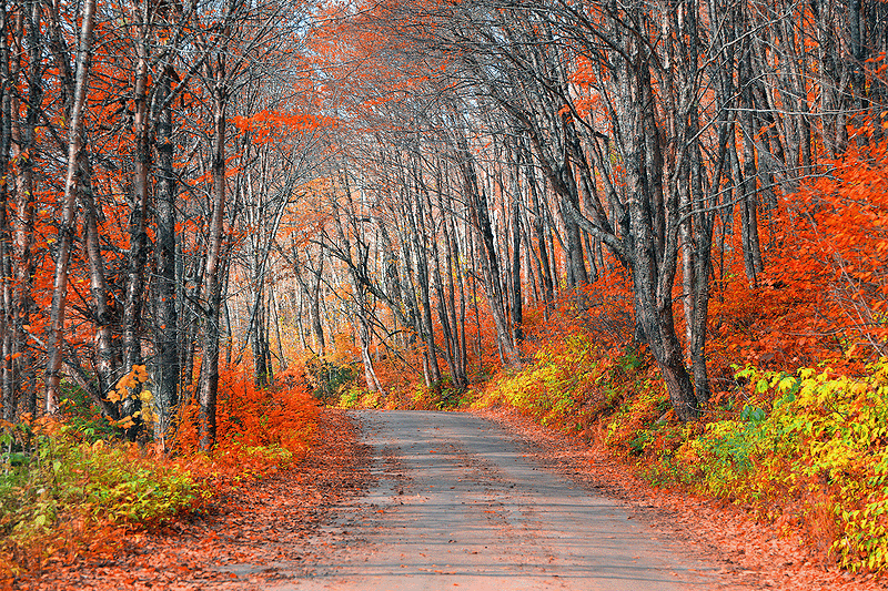 one of the best photo locations near Quebec City