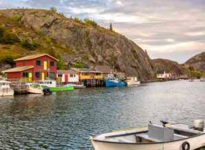 featured image quidi vidi harbour