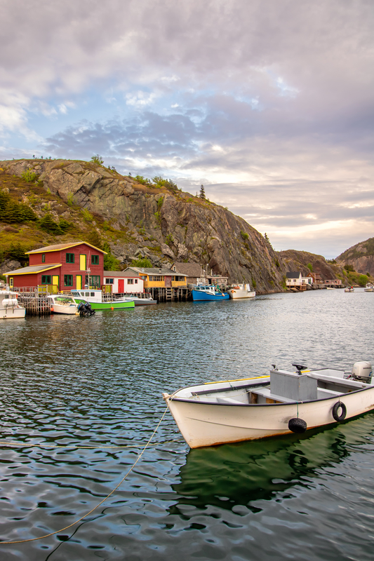 featured image quidi vidi harbour