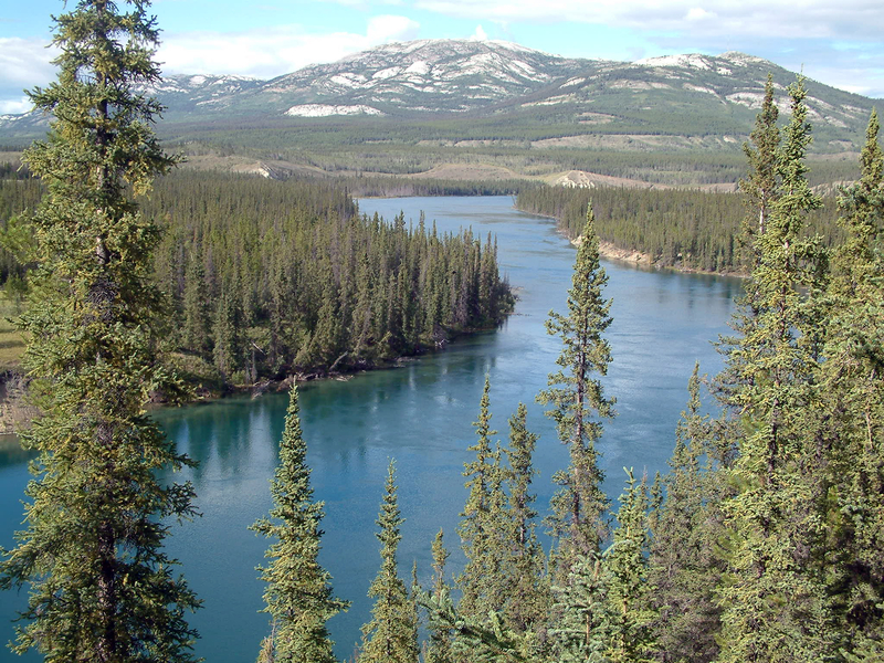 Top Things to do in the Yukon During Summer