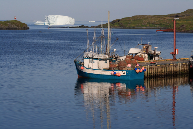 View Icebergs in Newfoundland ONE of the Unique places you can visit in Canada