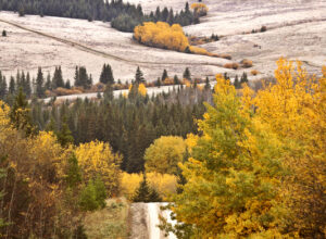 Riding the ranges of Saskatchewan