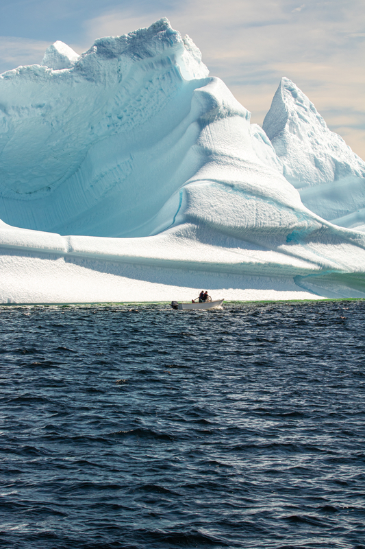 VIEW GIANT ICEBERGS IN Newfoundland