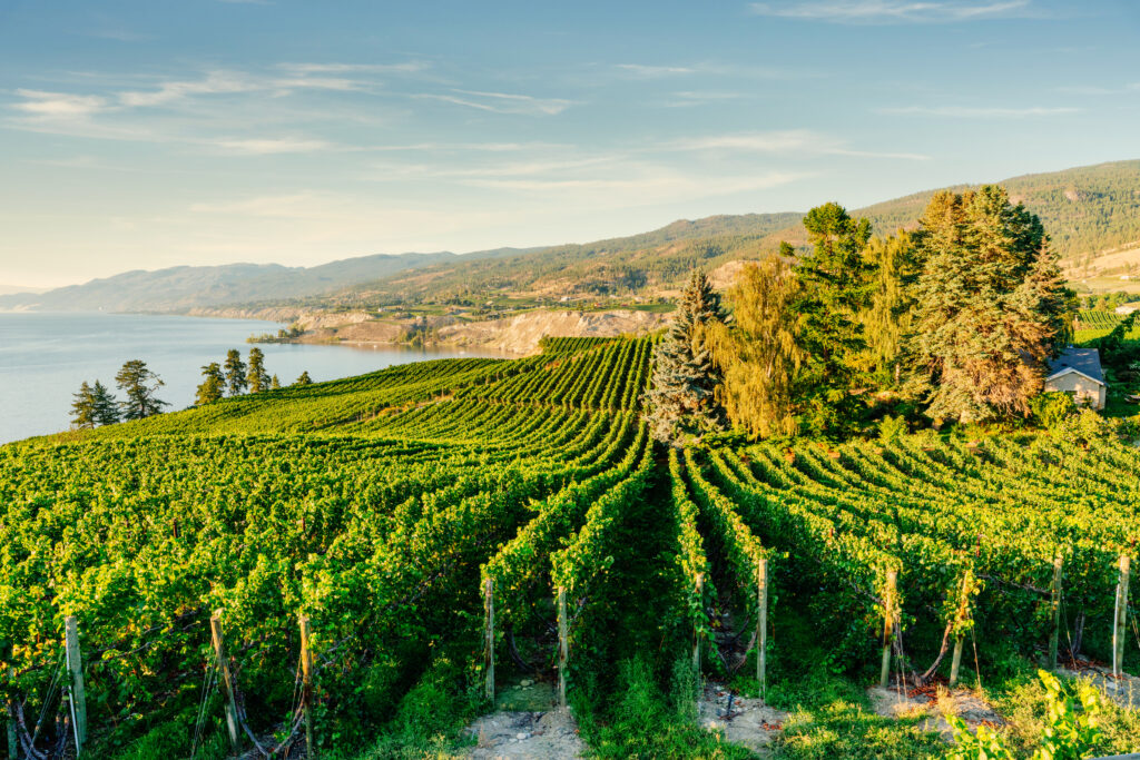 Okanagan Valley - Penticton