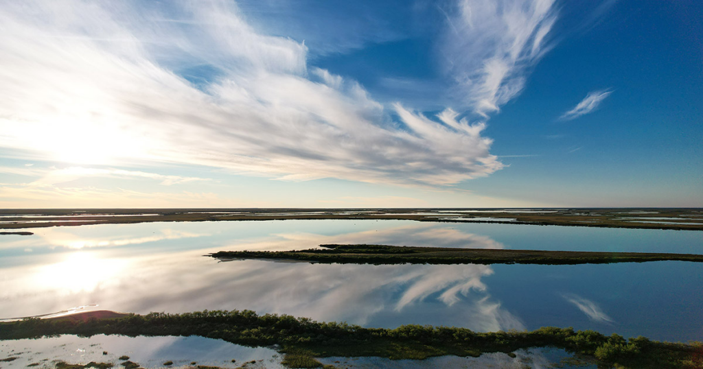 Wapusk National Park: Where the Arctic Heart Beats