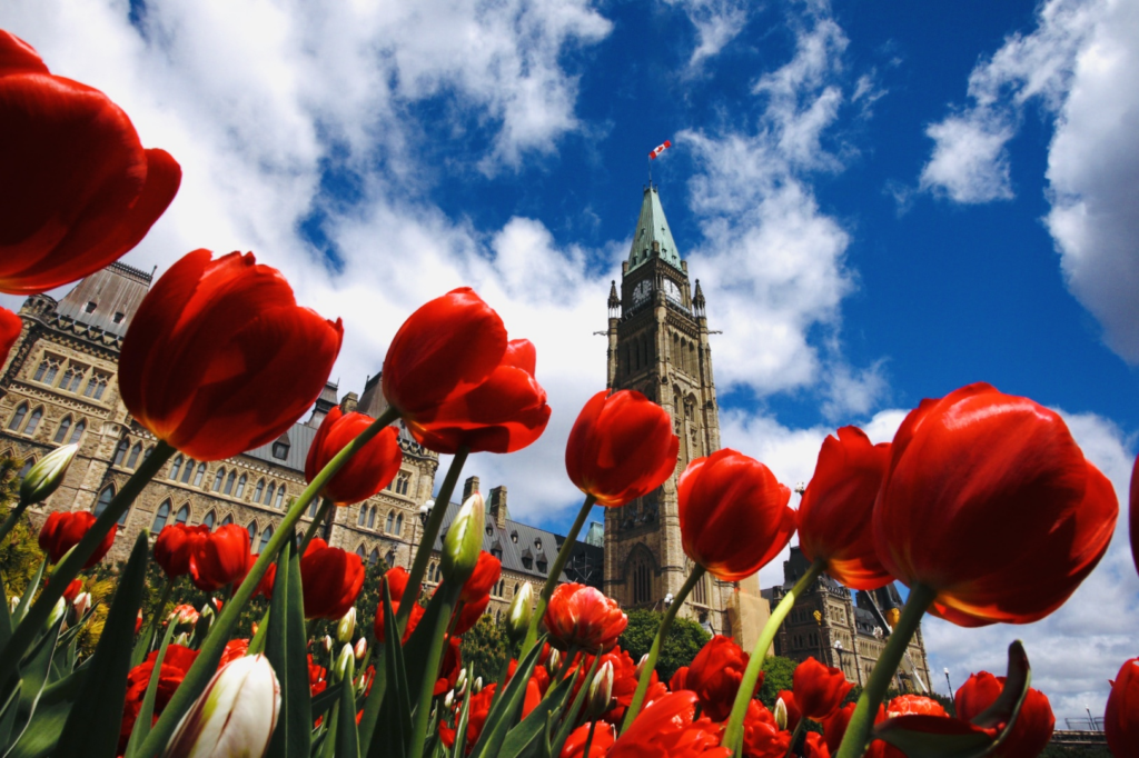 Things to do in Ottawa this April - Canadian Tulip Festival
