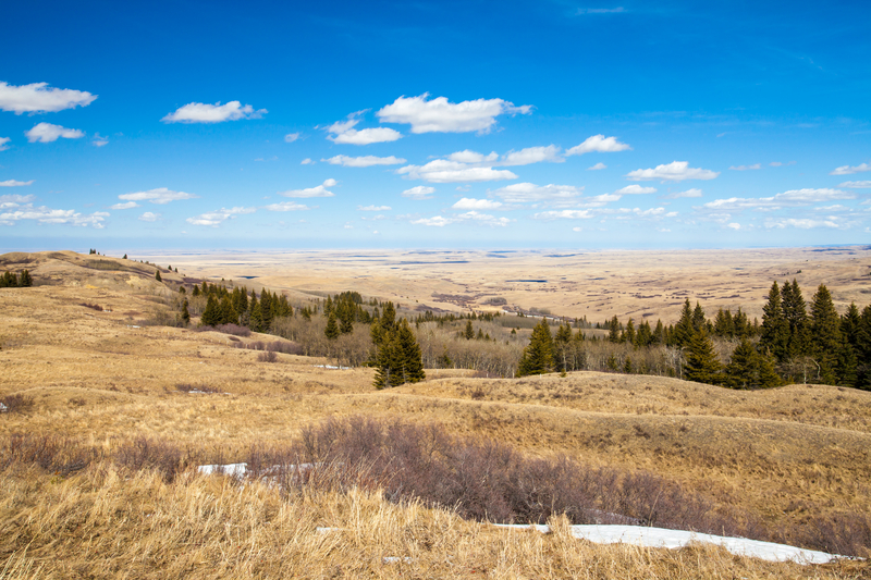 Saskatchewan Spring Travel Guide - Cypress Hills Interprovincial Park