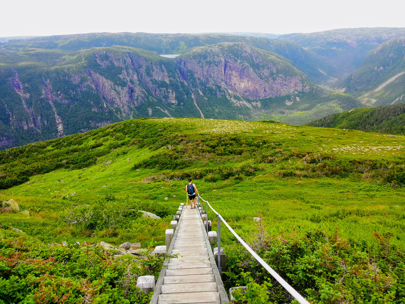 Newfoundland and Labrador in Spring