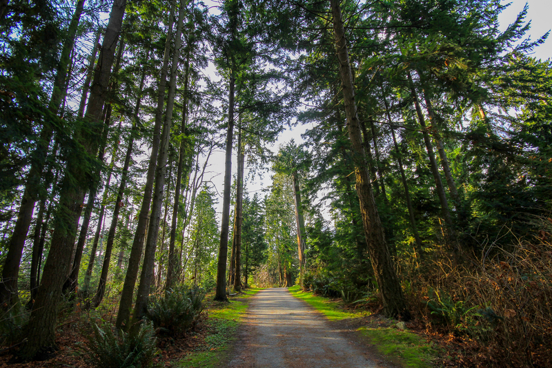 Beautiful British Columbia - Pacific Spirit Regional Park, Vancouver