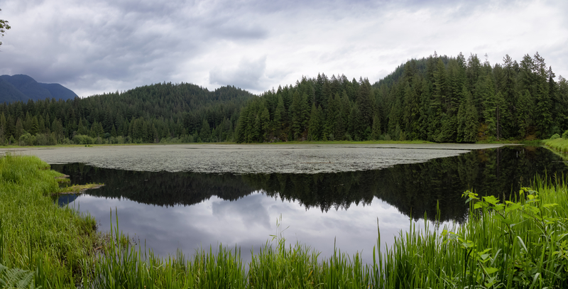 Beautiful British Columbia - Minnekhada Regional Park