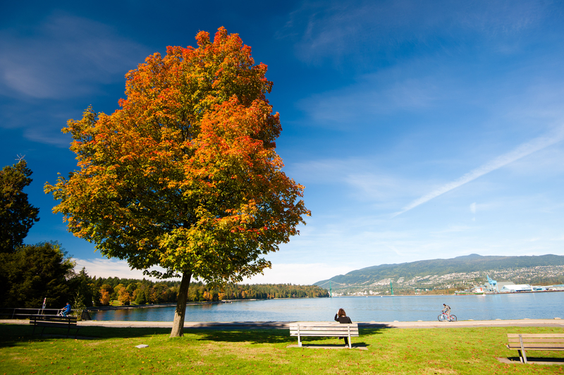 Beautiful British Columbia - Stanley Park, Vancouver